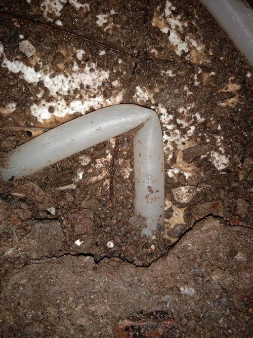 望都堵点精准查找